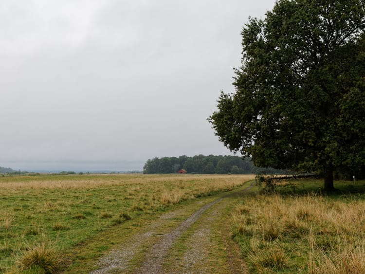 Jordmarken nature reserve